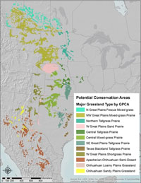 north american temperate grasslands